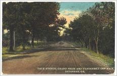 Dale Avenue, Grand Prize and Vanderbilt Cup Race, Savannah, Ga.