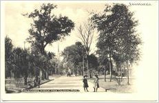 Oglethorpe Avenue from Colonial Park, Savannah, Ga.