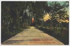 Savannah Grand Prize and Vanderbilt Cup Race, 1911 : Auto course along Montgomery Road