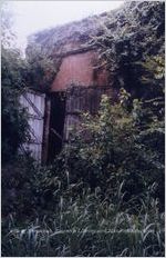 Overgrown Exterior of the Roundhouse