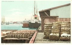Cotton Docks, Savannah, Ga.