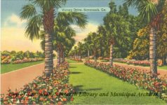 Victory Drive, Savannah, Ga.