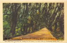 White Bluff Road, Savannah, Ga., Yielding the Full Beauty of the South With the Overhanding Spanish Moss--12