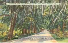 White Bluff Road, one of the Many Beautiful Drives around Savannah, Ga.