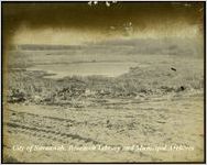 Reclaimed Land in Savannah
