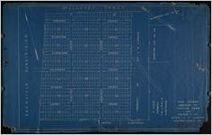 Plan showing subdivision of LaRoche Park and property of Estate A. B. LaRoche, Chatham County, Ga.