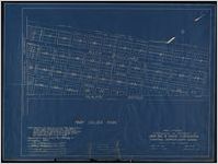 Map showing subdivision of property of Union Bag and Paper Corporation, Hermitage [adjacent to Mary Calder Park], Chatham County, Georgia.