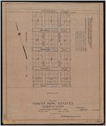 Plan Forest Park Estates Subdivision (part of N. K. Clark property), Chatham County, Ga.