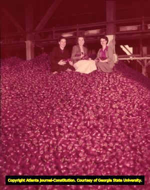 Woodbury residents proudly show off their town's main crop of pimiento peppers, 1953