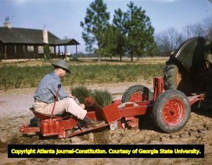 Farmer planting pine trees to help Georgia's reforestation projects, 1949