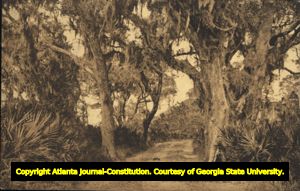"Wesley Oak, Saint Simons Island, Ga." postcard, published by Saint Simons Hotel, Saint Simons Island, Ga. (printed by: "Post cards of quality -- The Albertype Co., Brooklyn, N.Y."), 1930s?