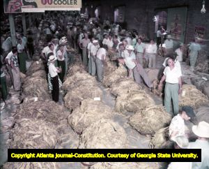 Buyers inspect bales of tobacco at a farmers market, 1953