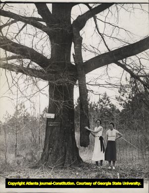 Two women with large broken tree limb. Tree has two "posted" signs attached, Monticello, Georgia, 1934.