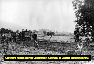 Chain gang doing road construction along the Good Roads Tour path, 1910