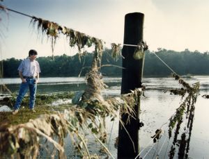 Farmer next to the receeding flood waters covering his crops, 1994