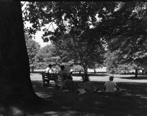 Incarcerated persons reading newspapers outside at the Atlanta Prison Farm, 1953