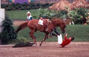 German equestrian rider falling off his horse during the 1996 Olympics, Atlanta, Georgia, 1996.