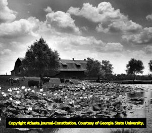 View of prison dairy and fish pond, Georgia, July 14, 1940.