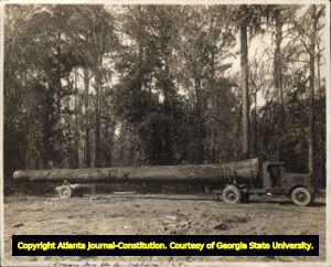 Yellow pine log on an International Harvester truck and trailer, Valdosta, Georgia, March 1925.