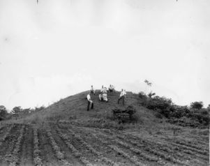 Kolomoki burial mound, Blakely, Georgia, July 1, 1945.