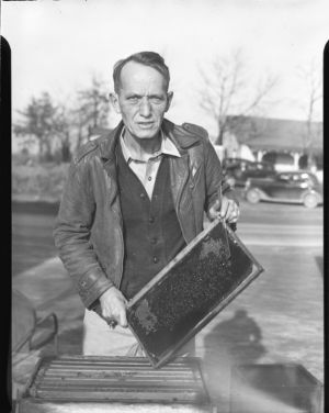 Beekeeper, Atlanta, Georgia, February 17, 1946.