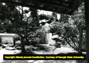 Japanese inspired garden at Atlanta Botanical Garden, 1982