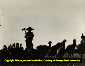 Man holds an axe, looking down at turkeys in front of him, November 1940.