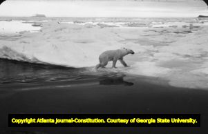 Hunters tracking polar bears during a hunting trip, 1954