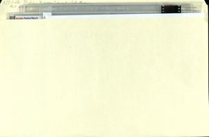 Affiliate photos -- Kitchen Cabinet --Sally Blackmann, Fall 2005