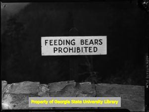 Sign prohibiting feeding bears, Great Smoky Mountain National Park, Tennessee, September 1941