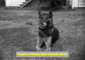 King, the Lennox family dog, Atlanta, Georgia, circa late 1930s or early 1940s