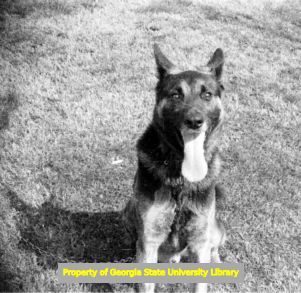 King, the Lennox family dog, Atlanta, Georgia, circa late 1930s or early 1940s