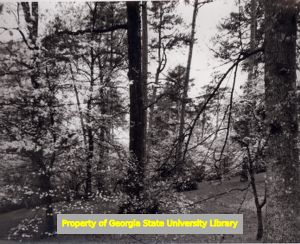 Landscape photograph taken by Ernest G. Welch, Atlanta, Georgia, 1986.