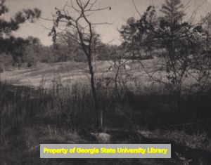 Bare tree and rocks, Arabia Mountain Park, Lithonia, Georgia, January 27, 1990. Photograph taken by Ernest G. Welch.