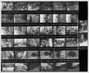 Eastern Air Lines Jamaica press trip [contact sheet], 1975-04