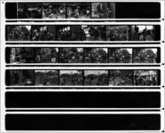 Eastern Air Lines promotion trip to Walt Disney World [contact sheet], circa 1980s