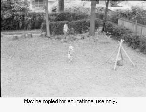 Coffin family yard work, Atlanta, Georgia, 1973.
