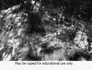 Park scene, unidentified location, March 9, 1974