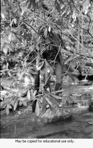 Coffin family in the park, Atlanta, Georgia, 1973.