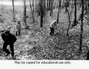 Coffin family in the woods, 1974.