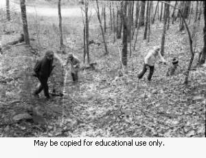 Coffin family in the woods, 1974.