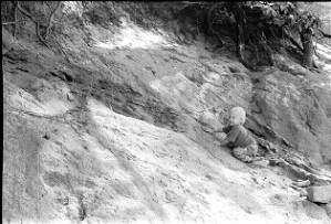 Coffin family outing, Georgia, 1974.
