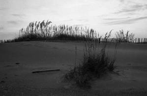 Coast of Washington, 1969