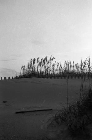 Coast of Washington, 1969