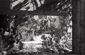 Scenic ruins, 1969