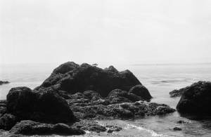 Penn Cove near Whidbey Island, 1969