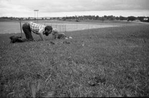 Tom and Zachary Coffin playing outside, 1969