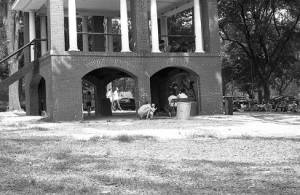 People gathered in Piedmont Park, 1969