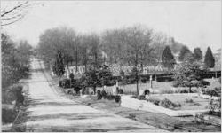 Scene in Oakland Cemetery, 1898