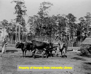 4 Oxen To Team, [?] Crossed